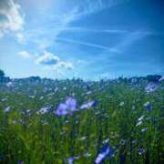 ヒメ日記 2025/09/10 12:51 投稿 中条琴莉 お姉さんCLUB