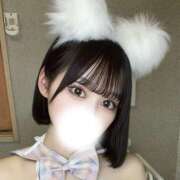 ヒメ日記 2025/04/01 21:02 投稿 らん キューティーハニー