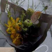 ヒメ日記 2026/01/05 05:31 投稿 らん キューティーハニー