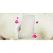 ヒメ日記 2024/12/11 14:29 投稿 ひな 宮崎ちゃんこ都城店