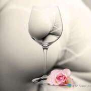 ヒメ日記 2024/12/21 17:12 投稿 ひな 宮崎ちゃんこ都城店