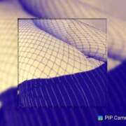 ヒメ日記 2024/12/22 08:15 投稿 ひな 宮崎ちゃんこ都城店