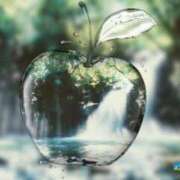 ヒメ日記 2024/12/24 09:19 投稿 ひな 宮崎ちゃんこ都城店