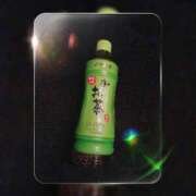 ヒメ日記 2024/12/31 12:33 投稿 ひな 宮崎ちゃんこ都城店