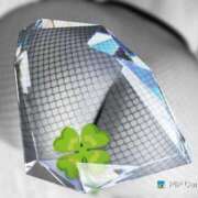 ヒメ日記 2024/12/31 12:45 投稿 ひな 宮崎ちゃんこ都城店