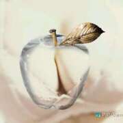 ヒメ日記 2025/01/06 06:35 投稿 ひな 宮崎ちゃんこ都城店