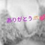 ヒメ日記 2025/03/29 10:27 投稿 ひな 宮崎ちゃんこ都城店