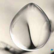 ヒメ日記 2025/07/12 13:25 投稿 ひな 宮崎ちゃんこ都城店