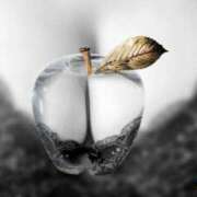 ヒメ日記 2025/07/15 09:45 投稿 ひな 宮崎ちゃんこ都城店