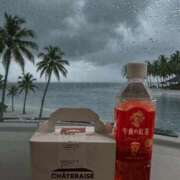 ヒメ日記 2026/04/19 19:25 投稿 ひな 宮崎ちゃんこ都城店