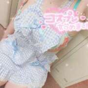 ヒメ日記 2025/04/28 08:58 投稿 みるく ワンダフル