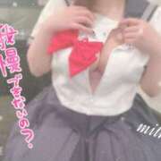 ヒメ日記 2025/05/04 13:48 投稿 みるく ワンダフル