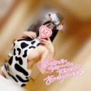 ヒメ日記 2025/10/03 09:18 投稿 みるく ワンダフル