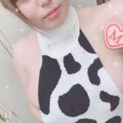 ヒメ日記 2025/11/12 08:50 投稿 みるく ワンダフル