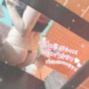 ヒメ日記 2025/11/12 15:28 投稿 みるく ワンダフル