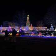 ヒメ日記 2025/12/07 20:08 投稿 みるく ワンダフル