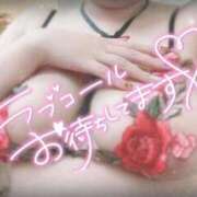 ヒメ日記 2025/12/11 21:28 投稿 みるく ワンダフル