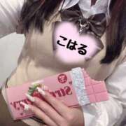 ヒメ日記 2025/02/26 14:51 投稿 こはる 素人しか勝たん！柏店（超恋人型空間デリヘル）