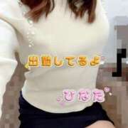 ヒメ日記 2024/12/13 17:37 投稿 ひなた マダム可憐