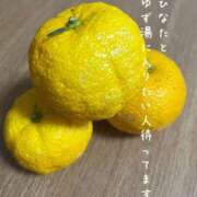 ヒメ日記 2024/12/20 18:17 投稿 ひなた マダム可憐