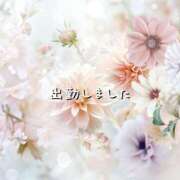 ヒメ日記 2025/01/14 15:09 投稿 ひなた マダム可憐