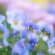 ヒメ日記 2025/01/30 17:34 投稿 ひなた マダム可憐