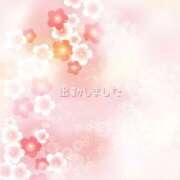 ヒメ日記 2025/02/03 18:03 投稿 ひなた マダム可憐
