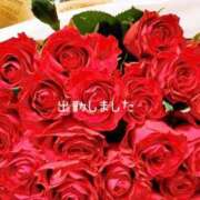 ヒメ日記 2025/02/06 17:05 投稿 ひなた マダム可憐