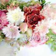 ヒメ日記 2025/02/22 14:48 投稿 ひなた マダム可憐