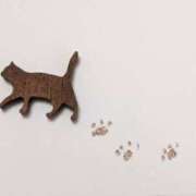 ヒメ日記 2025/03/09 13:43 投稿 ひなた マダム可憐