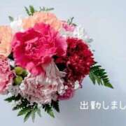 ヒメ日記 2025/03/14 15:02 投稿 ひなた マダム可憐