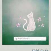 ヒメ日記 2025/03/19 03:05 投稿 ひなた マダム可憐