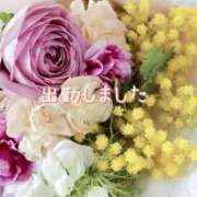 ヒメ日記 2025/03/26 15:00 投稿 ひなた マダム可憐