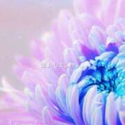 ヒメ日記 2025/03/30 15:19 投稿 ひなた マダム可憐