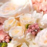 ヒメ日記 2025/03/31 20:40 投稿 ひなた マダム可憐