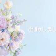 ヒメ日記 2025/04/11 15:52 投稿 ひなた マダム可憐