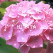 ヒメ日記 2025/06/14 15:46 投稿 ひなた マダム可憐