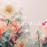 ヒメ日記 2025/07/24 16:08 投稿 ひなた マダム可憐