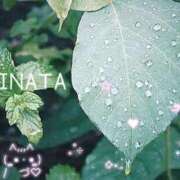 ヒメ日記 2025/08/11 17:06 投稿 ひなた マダム可憐