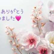 ヒメ日記 2025/08/30 02:29 投稿 ひなた マダム可憐