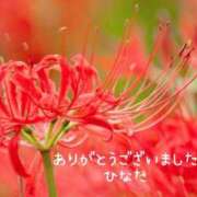 ヒメ日記 2025/09/28 17:25 投稿 ひなた マダム可憐