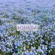 ヒメ日記 2025/11/14 15:23 投稿 ひなた マダム可憐