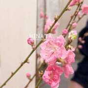 ヒメ日記 2026/02/11 12:00 投稿 ひなた マダム可憐