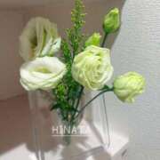 ヒメ日記 2026/02/16 11:48 投稿 ひなた マダム可憐