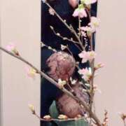 ヒメ日記 2026/03/10 17:44 投稿 ひなた マダム可憐