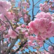 ヒメ日記 2026/04/11 14:35 投稿 ひなた マダム可憐