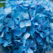 ヒメ日記 2025/06/08 19:47 投稿 三河ゆきな 色気あるワイフ