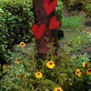 ヒメ日記 2025/09/13 06:05 投稿 三河ゆきな 色気あるワイフ