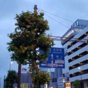 ヒメ日記 2025/05/30 04:58 投稿 三河ゆきな 麗しいマダム