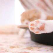 ヒメ日記 2025/06/01 19:37 投稿 三河ゆきな 麗しいマダム